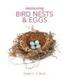 Interesting Bird Nests and Eggs cover
