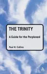 The Trinity: A Guide for the Perplexed cover