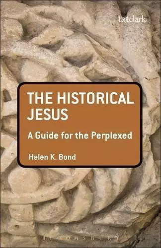 The Historical Jesus: A Guide for the Perplexed cover