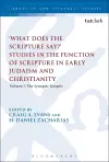 What Does the Scripture Say?' Studies in the Function of Scripture in Early Judaism and Christianity cover