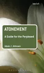 Atonement: A Guide for the Perplexed cover
