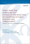What Does the Scripture Say?' Studies in the Function of Scripture in Early Judaism and Christianity cover