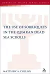 The Use of Sobriquets in the Qumran Dead Sea Scrolls cover