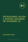[Re]Reading Again: A Mosaic Reading of Numbers 25 cover