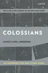 Colossians: An Introduction and Study Guide cover