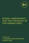 Bodies, Embodiment, and Theology of the Hebrew Bible cover