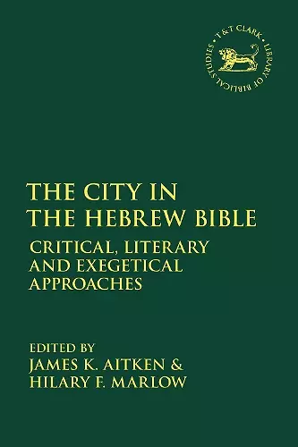 The City in the Hebrew Bible cover