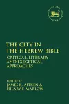 The City in the Hebrew Bible cover