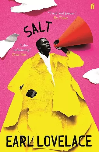 Salt cover