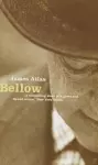 Bellow cover