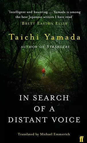 In Search of a Distant Voice cover