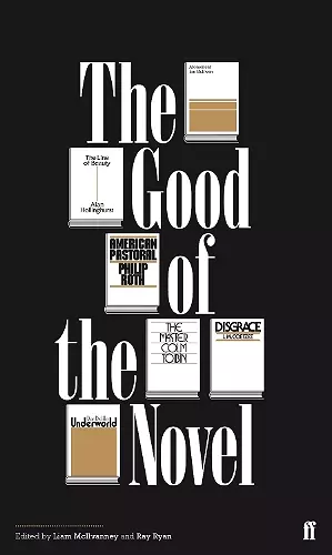 The Good of the Novel cover