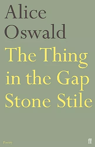 The Thing in the Gap Stone Stile cover