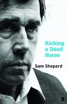 Kicking a Dead Horse cover