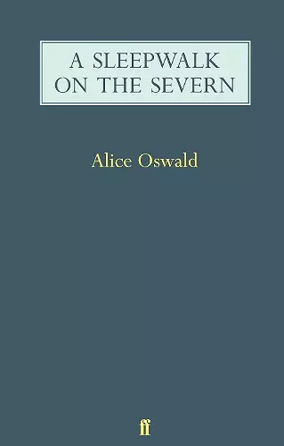 A Sleepwalk on the Severn cover