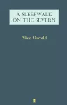 A Sleepwalk on the Severn cover