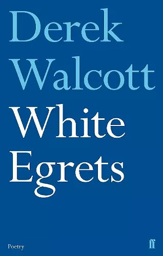 White Egrets cover