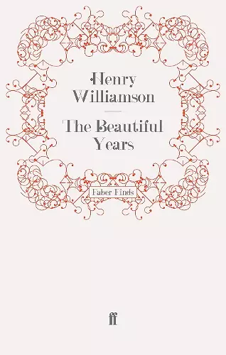 The Beautiful Years cover