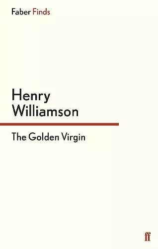 The Golden Virgin cover