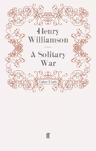 A Solitary War cover