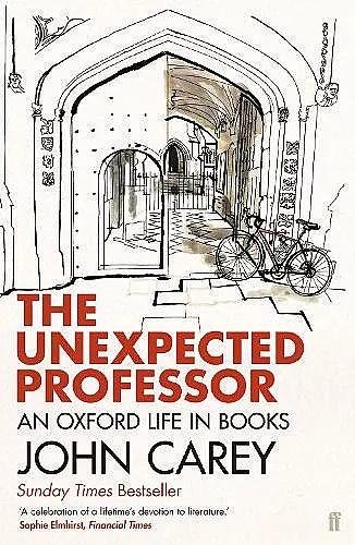 The Unexpected Professor cover