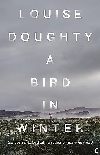 A Bird in Winter cover