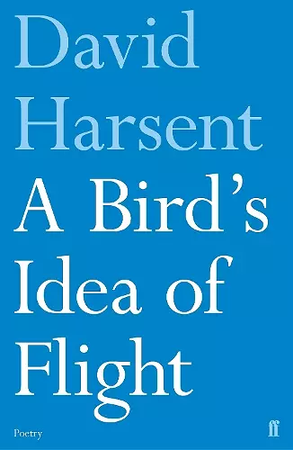 A Bird's Idea of Flight cover