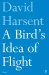 A Bird's Idea of Flight cover