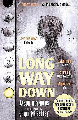 Long Way Down cover