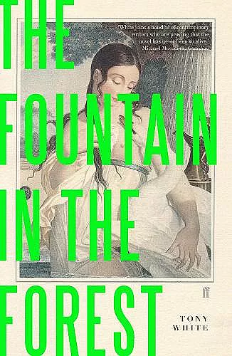 The Fountain in the Forest cover
