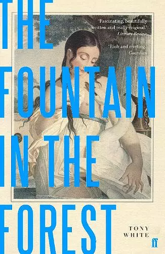 The Fountain in the Forest cover