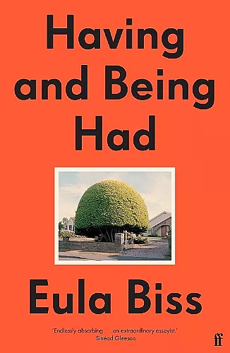 Having and Being Had cover