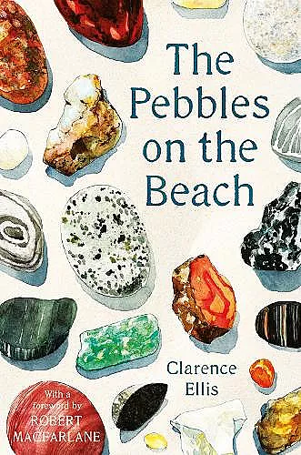 The Pebbles on the Beach cover