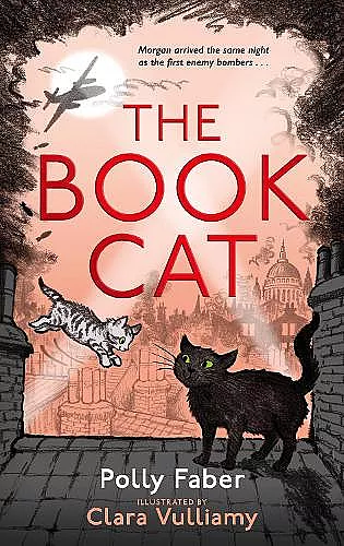 The Book Cat cover