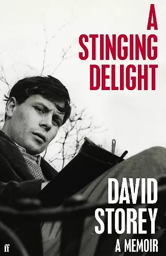 A Stinging Delight cover