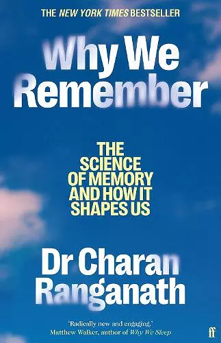 Why We Remember cover