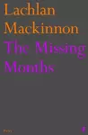 The Missing Months cover