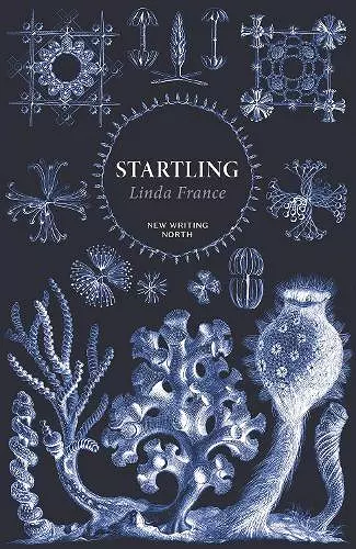 Startling cover