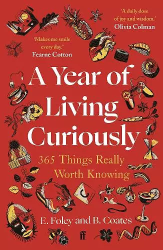 A Year of Living Curiously cover