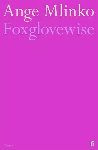 Foxglovewise cover