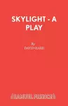 Skylight cover