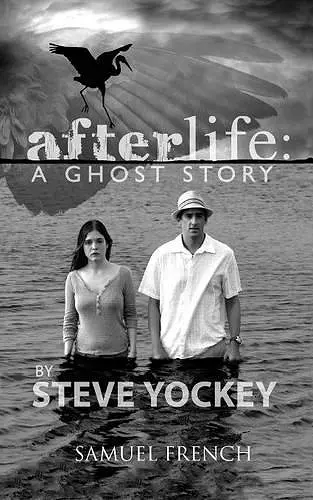 Afterlife cover