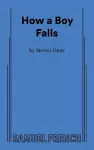 How a Boy Falls cover