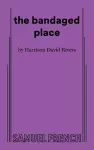 the bandaged place cover