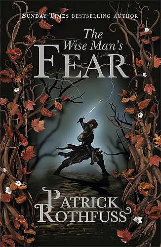 The Wise Man's Fear cover