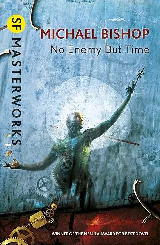 No Enemy But Time cover