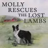 Molly Rescues the Lost Lambs cover