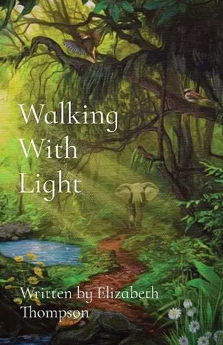 Walking With Light cover