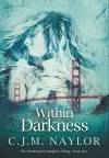 Within Darkness cover