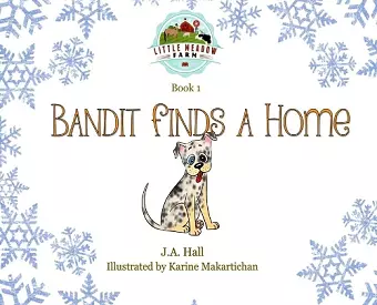 Bandit Finds a Home cover